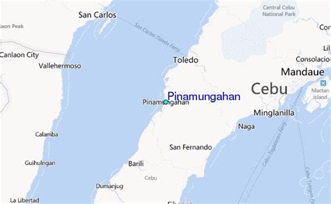 pinamungajan cebu zip code|Pinamungajan .